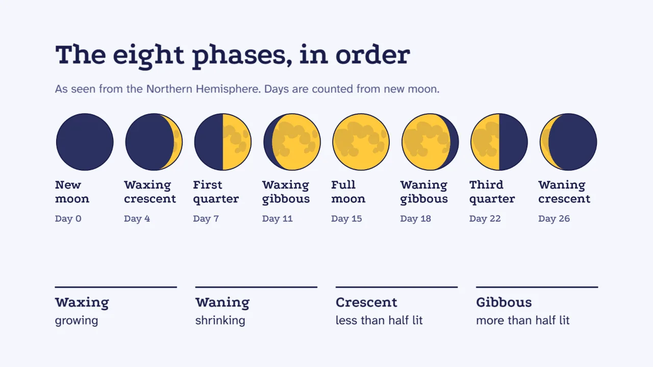 The eight Moon phases in order, with their names and days