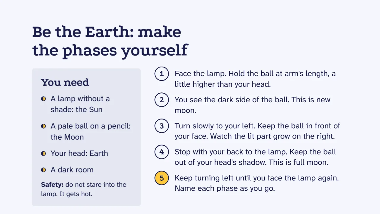 Materials and numbered steps for the lamp and ball activity